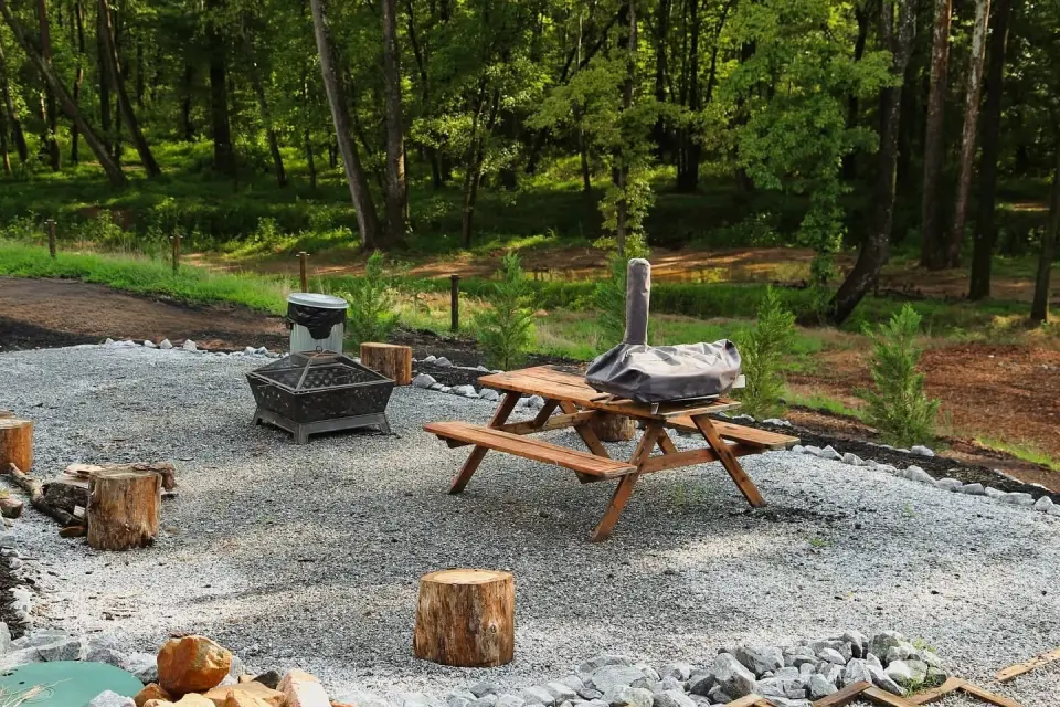 Fire pit with log seating in the woods